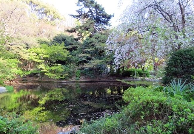 公園として整備されたのは古く、明治の中頃