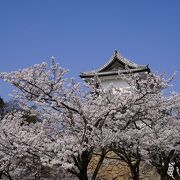 兼六園に隣接しています