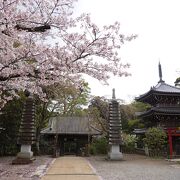 桜も美しく見どころの多いお寺です