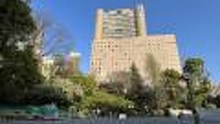 公園に特徴は感じませんでした