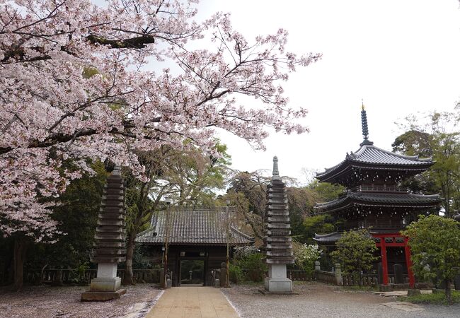 桜も美しく見どころの多いお寺です