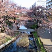 流れをせき止めてできた親水公園