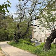 飯田橋駅から四ツ谷駅にかけて