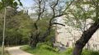 飯田橋駅から四ツ谷駅にかけて