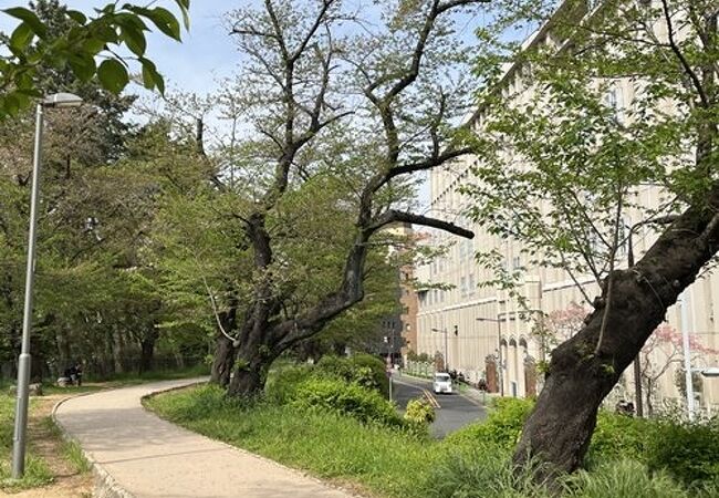 飯田橋駅から四ツ谷駅にかけて