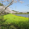 袖ケ浦公園