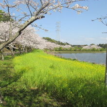 袖ケ浦公園