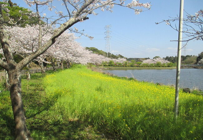 袖ケ浦公園