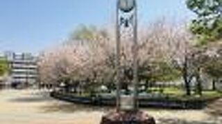 上川端町の公園