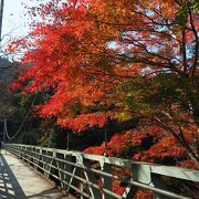 紅葉の絶景ポイント