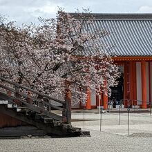 ざ・京都。