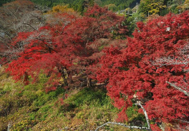 鵜の瀬橋