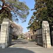 東北大学の正門があります