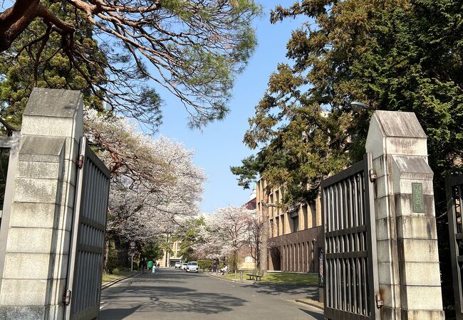 東北大学の正門があります