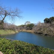 訪れたのが冬の１月で桜も咲いていませんでしたが、皇居や北の丸公園の緑など十分見ごたえがありました。