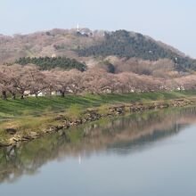 船岡駅寄りのさくら歩道橋から見た一目千本桜と船岡城址公園の山