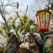 半田山植物園