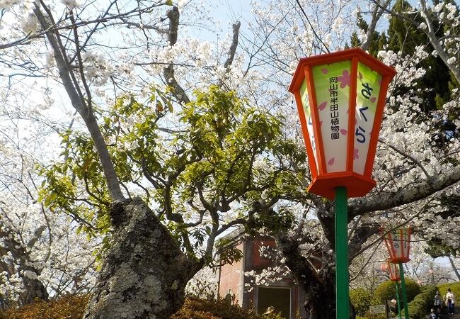 半田山植物園