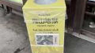 ワニがたくさん