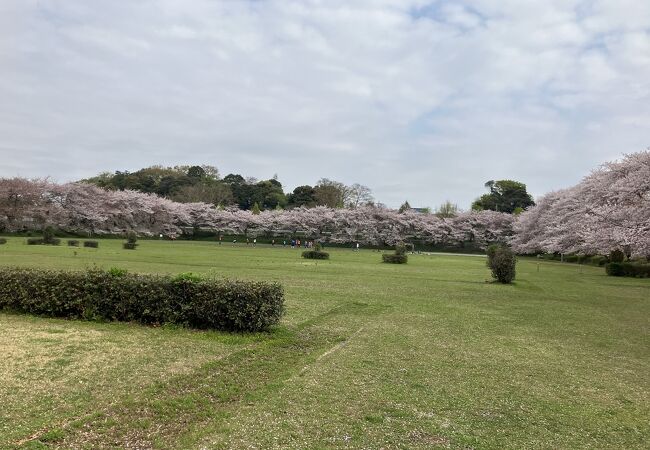 サッカーの街　浦和