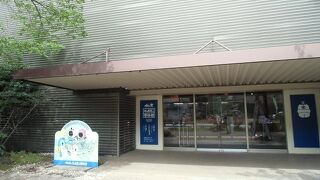 かまぼこ作り体験と蒲鉾作り見学が楽しい