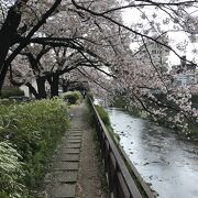 春爛漫を感じることができる川沿いの桜景色