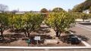 見どころが少なかった