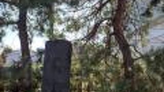 垂れかかった松があった