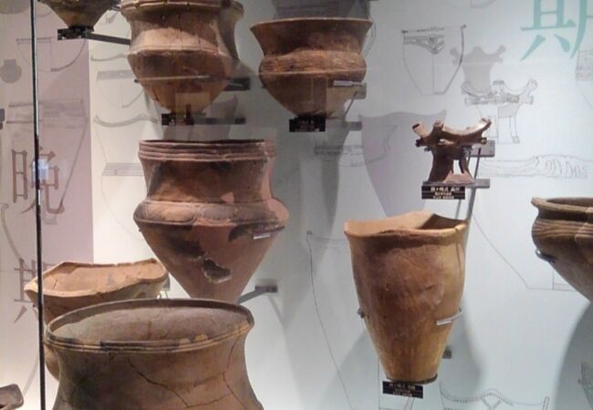 わかりやすい展示