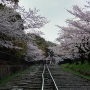 桜と線路