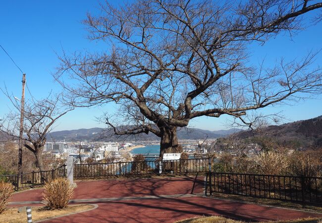 山頂は標高６０メートルほど