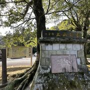 諫早公園を含む、諫早市最大の公園