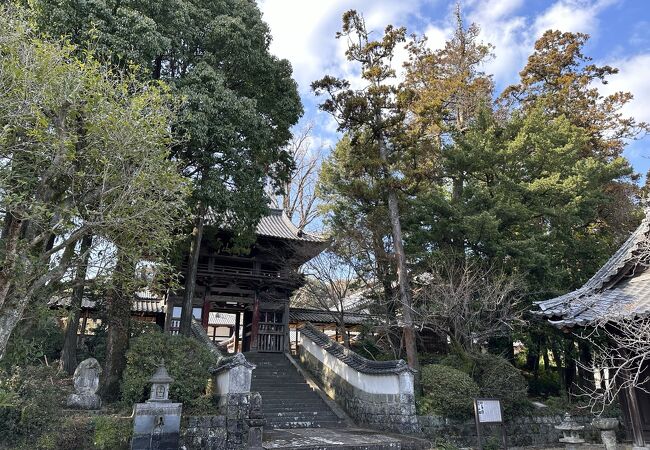 諫早家の菩提寺