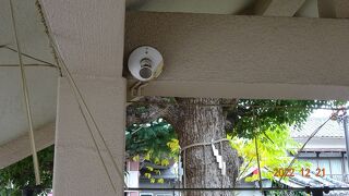 センサーが参拝客を感知して、お水が一定時間のみ出てくるようになっていました。