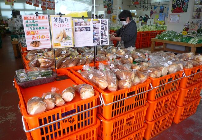 利便性・買い易さ・コスパと３拍子揃う！　～　農産直売所 旬の駅 京都店 