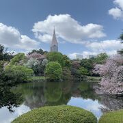 桜の公園