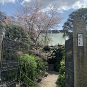 桜と六地蔵