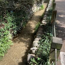 玉川上水 内藤新宿分水散歩道