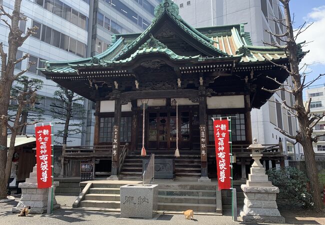 見どころがたくさん、猫もいます