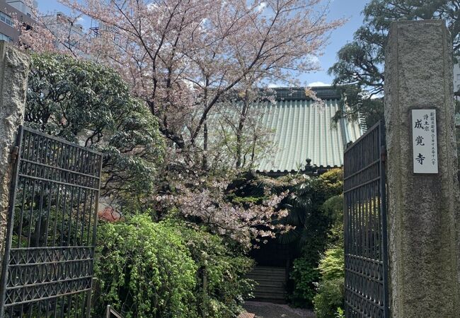 桜と六地蔵