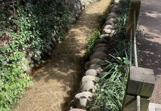 玉川上水と散歩道