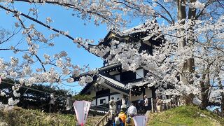満開の桜でとてもきれいな城跡公園です