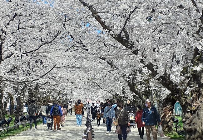 4月2日　日曜日に行きました。