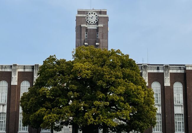 京都大学