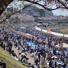 ものすごい人出