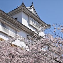 どこを切り抜いても絵になる