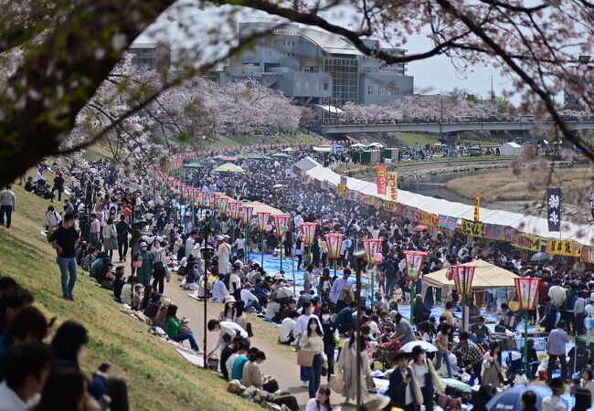 岡山さくらカーニバル