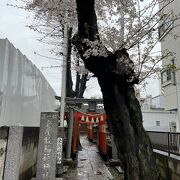 天神社と金毘羅社の摂社もあり。