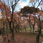 日本最古の公立総合植物園