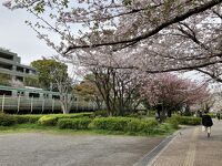 大井水神公園